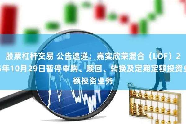 股票杠杆交易 公告速递：嘉实欣荣混合（LOF）2025年10月29日暂停申购、赎回、转换及定期定额投资业务