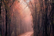 app股票:配资平台炒股票-8月A股新开户数265万户 同比增长165%